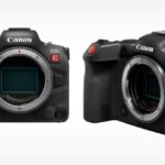 canon eos R5 C